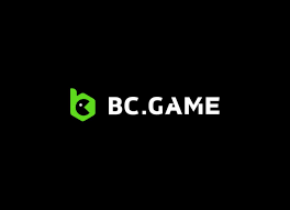 The Future of Gaming Exploring the BCFun Casino Crypto Revolution