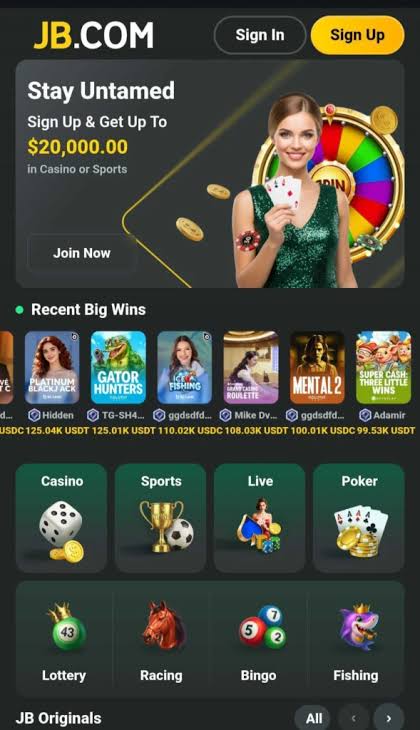 Comprehensive Overview of JB Casino Gaming, Bonuses, and Features