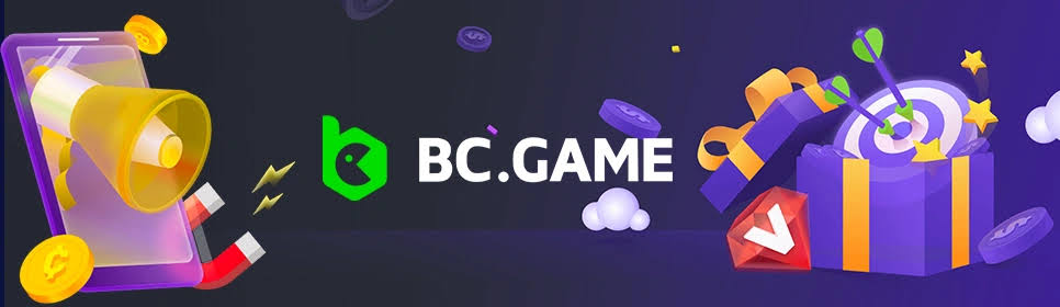 Understanding the Functionality of the BC App